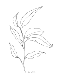 Blue Studios By Bree Robinson Sydney Illustrator In 2021 Line Art Flowers Amazing Art Painting Line Art Drawings