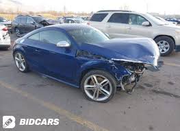 Image result for Scuba Blue 2014 TTS