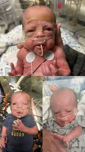 Vayle's Kinfolk & Cattle