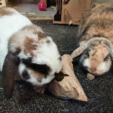 I've had a black and...