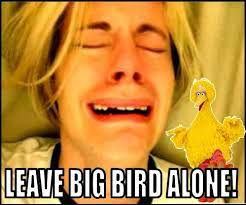 Leave Big Bird Alone Thank You Interweb Big Bird Memes Bird