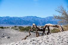 UBERFest: Death Valley 2026
