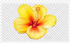 According to its name, tropical flowers are some kinds of flowers that only grow in tropical areas. Tropical Flower Png Clipart Clip Art Transparent Tropical Flower Clipart 2170000 Pikpng