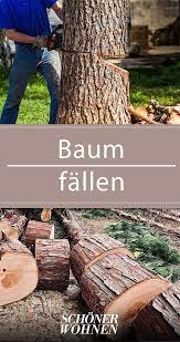 So einfach ist das rein rechtlich. Baum Fallen Wann Es Erlaubt Ist Wie Es Geht Und Vieles Mehr Baum Fallen Palmen Garten Baum