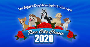 Full size f2 goldendoodles, 5 girls, 2 boys available. Rose City Classic 2021 Rcc Portland Dog Show