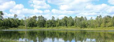 Our community provides the best free camping information available. Rice Lake State Park Outdoorsy