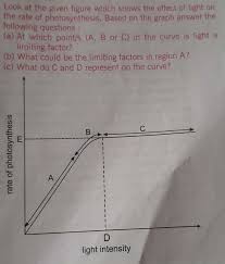 Graphs show that the higher the intensity, the higher rate of photosynthesis. Answered Look At The Given Figure Which Shows Bartleby