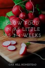 How To Grow Food In As Little As 3 To 4 Weeks In 2020 Growing Food Food Growing Fruit