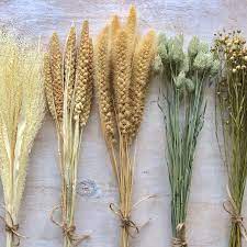 New Grass Dried Flowers Table Decorations Flower Delivery