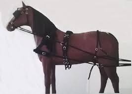 Vand cal,ani,pentru calarie sau tractiune. Cea Mai RecentÄƒ CumpÄƒrarea IeftinÄƒ Jumatate Din Accesorii Calarie Supravegherevideo Org