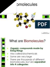 Dna is made up of molecules called nucleotides. Biomolecules Fat Carbohydrates