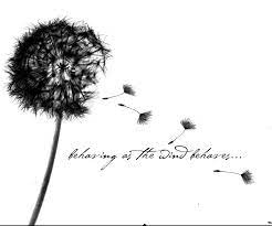 Value Pack Brush Sets White Taklon Dandelion Tattoo Dandelion Tattoo Design Full Tattoo