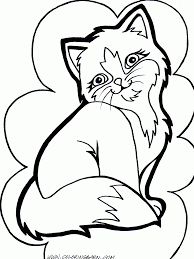 Kittens for kids cat fat2304. Pin On Drawing