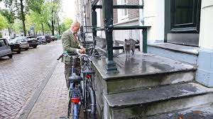 Ook andere kattenliefhebbers in de kamer voelen er niets voor om hun kat binnen te houden. Advocaat En Politicus Theo Hiddema Met Zijn Kat Bram Youtube