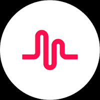 We'll teach you how to download music from youtube with two different tools, both offline and on. Musical Ly Lite 4 9 2 Android 4 1 Apk Download By Tiktok Inc Apklinker