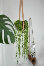 Wohnblog Wohnideen Dekoideen Einrichtungsideen Einrichten Wohnen Mit Ikea Dekoration Styling Interior Hangepflanzen Zimmer Badezimmerpflanzen Pflanzen