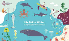 It's the perfect time to talk all about the. World Wildlife Day 2019 Celebration In Geneva Geneva Environment Network