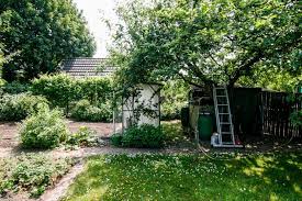 Unser Garten Vorher Nachher Der Kleine Horrorgarten In 2020 Garten Naturgarten Gartengestaltung
