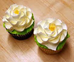 Cookies N Cupcakes White Flower Cake Shoppe White Flower Cake Shoppe Magnolia Cupcakes Flower Cake