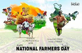 Veteran's day is an important observance in the united states, set aside for honoring and remembering men and women who have served in the armed forces. Farmer S Day Celebrating A Day For Our Heroes
