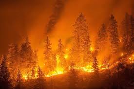 Pin Di Global Warming