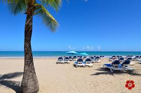Booking.com has been visited by 1m+ users in the past month Isla Verde Beach Carolina Puerto Rico Beach Guide Best Beach Resorts