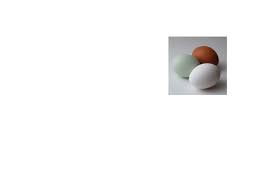 Calameo How Many Calories In A Hard Boiled Egg