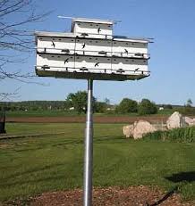 Match the arrow to the hole, click the button in place, and with a simple press of the release button down your flagpole slides. Coates Heavy Duty 12 Ft Galvanized Telescoping Pole With Ground Socket Purple Martin House Telescoping Pole At Songbird Garden