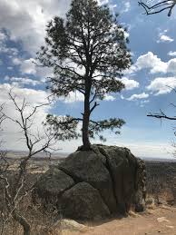 Jun 25, 2019 · the wsanec people began splitting the cedar logs they had felled in the spring. Rock Splitting Faith And How It Grows Terradez Ministries