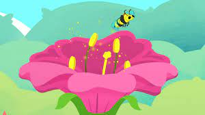 We did not find results for: How Do Flowering Plants Reproduce Bbc Bitesize