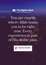 You Are Exactly Where Allah Wants You To Be Right Now Every Experience Is Part Of His Div In 2020 Inspirational Quotes With Images Islamic Quotes Inspirational Quotes