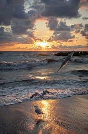 Rejoice Photo Beautiful Sunset Sunset Beautiful Nature