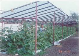 Institut pertanian ayer hitam (ipah). Institut Pertanian Ayer Hitam Johor Maz S