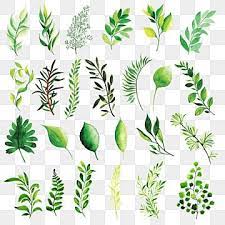 Selain itu gambar ini juga punya lebar 500 dan panjang 500 piksel. Leaf Vector 49000 Leaf Graphic Resources For Free Download