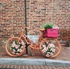 chaia farm to taco miss lauren alston beautiful flowers pretty just girly things