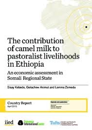 Camel marketing and determination its price in borana zone 3.8. The Contribution Of Camel Milk To Pastoralist Livelihoods In Ethiopia An Economic Assessment In Somali Regional State Publications Library