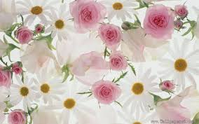 Aquarium live wallpaper for pc. Pins For Download Wallpapers Flowers From Pinterest