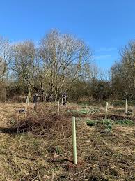 Fife and Kinross Group