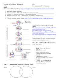 They have similar and distinct functions and characteristics. Mitosis And Meiosis Webquest