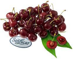 Cherries Myths And Truth Sanlucar