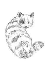 Pin On Black And White Art
