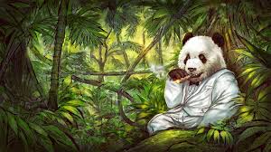 Free fire is the ultimate survival shooter game available on mobile. 151 Cute And Funny Panda Names Animal Hype