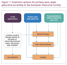 Allocating Resources For Glaucoma Care A Review