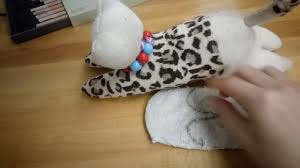 Coraptan Kedi Yapimi Youtube