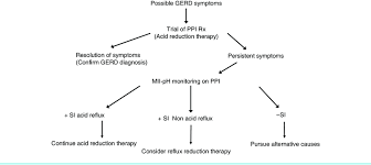 Flow Diagram Gastro Oesophageal Reflux Disease Approach