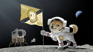 Live streaming charts of the dogecoin price. What Is Dogecoin Should You Take This Meme Currency Seriously