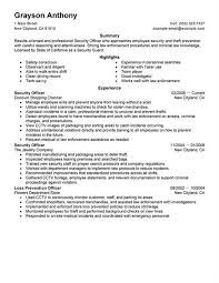 Other than that, you may also be interested to view our downloadable resume objective samples in the provided link. Security Guard Resume Objective