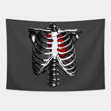 When you buy three book page prints or more, we will add a free. Ribcage Skeleton Red Heart Anatomy Skeleton Rib Cage Tapestry Teepublic