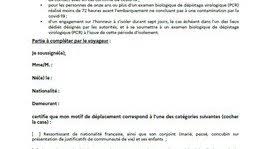 L'attestation de déplacement dérogatoire est nécessaire dans les départements où un confinement s'applique pour toute sortie du domicile. Attestation De Deplacement Vers La France Metropolitaine Et Declaration Sur Les Consulats Generaux De France Au Maroc