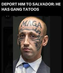 Hi! I'm new to this group. I recently joined because I'm an American first,  and secondly because I'm a Democrat.